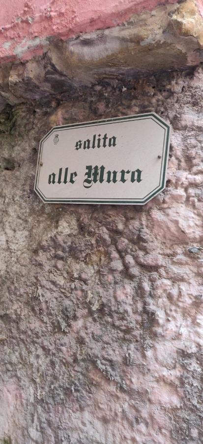 Dolce Alta Apartment